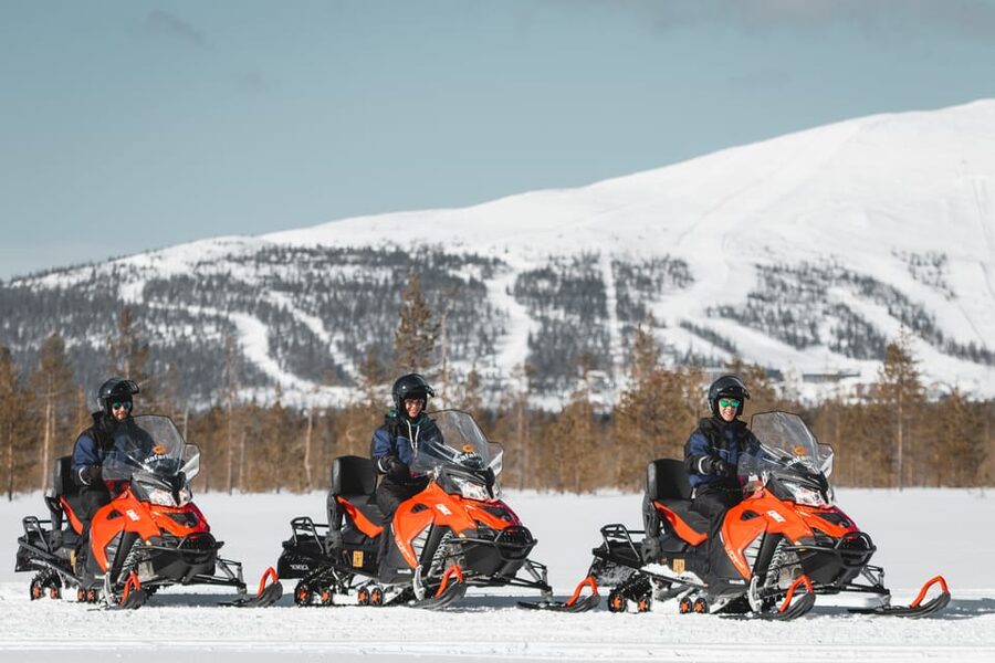 Levi: Easy Snowmobile Safari into the Nature - How the cold changes the experience