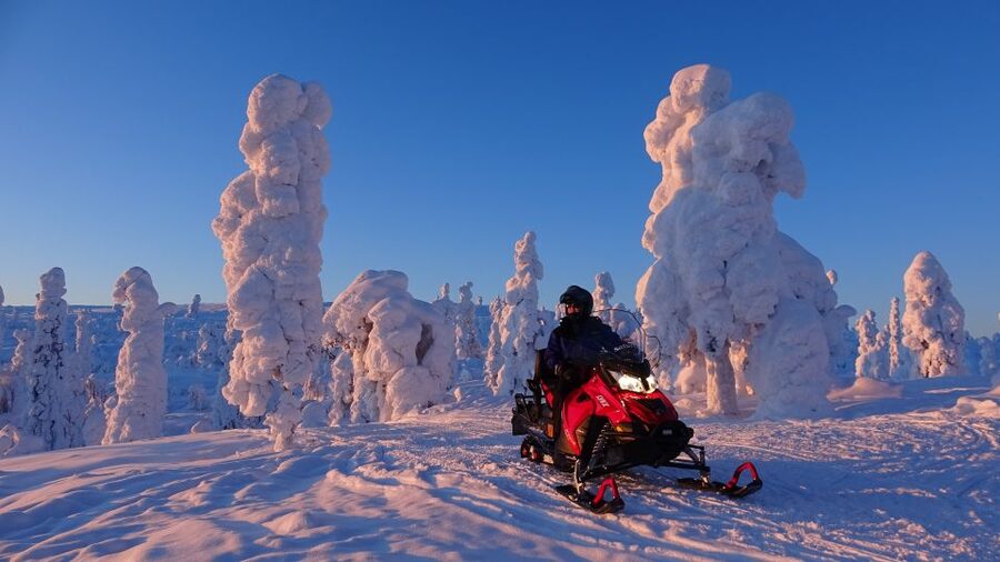 Levi: Evening Snowmobile Safari - Who will enjoy this Levi safari most