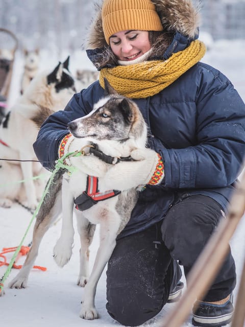 Levi: Guide-driven Husky Safari - Meeting the big white Polar Lights bus