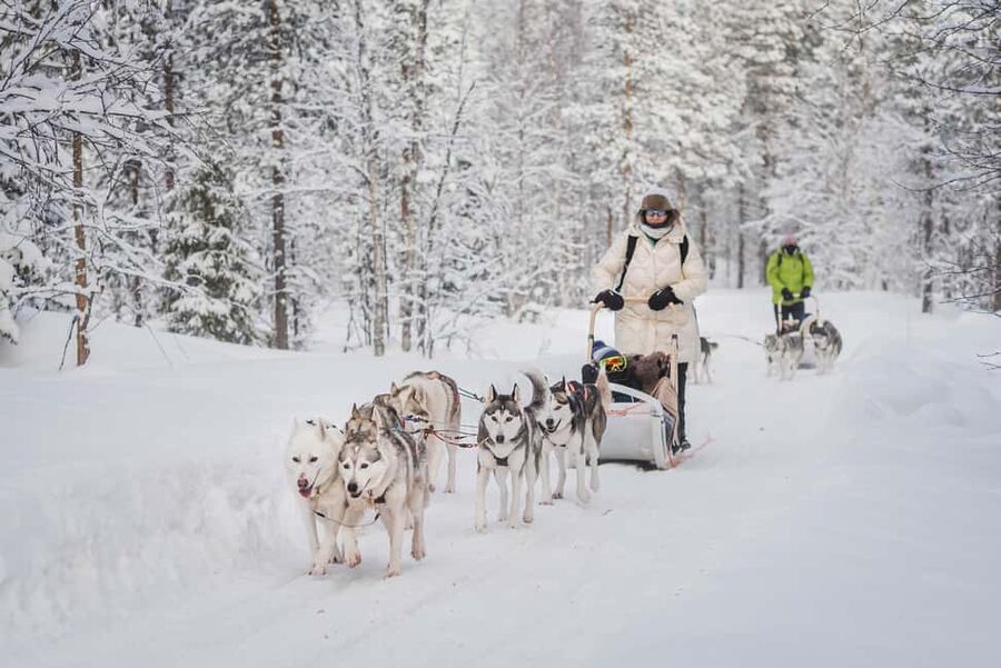 Levi: Husky Adventure Self-Drive Safari 15km - From Levi center to a family-run Arctic farm