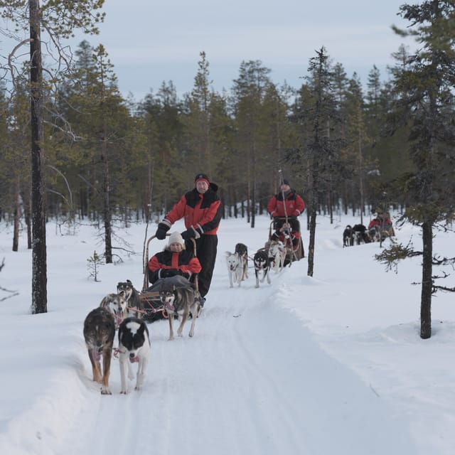 Levi: Husky Adventure Self-Drive Safari 15km - Learning to handle a two-dog team