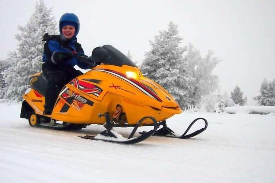 Levi: Lapland Family Snowmobile Safari - Key points to know before booking