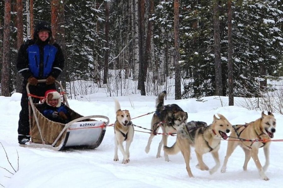 Levi: Lapland Reindeer and Husky Safari - Booking tips for a smoother outing