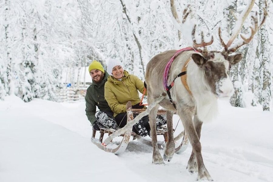 Levi: Lapland Reindeer and Husky Safari - Meeting the huskies and learning the ropes