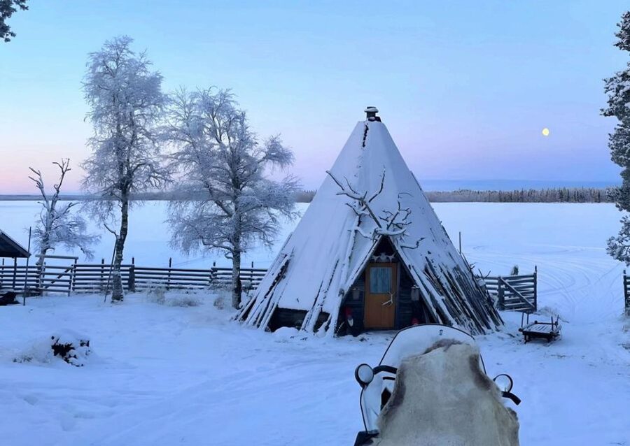 Levi: Lapland Reindeer Safari - Feeding Reindeer With Lichen