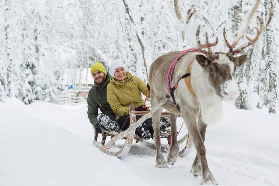 Levi: Lapland Reindeer Safari - Timing, Delays, and Group Pace