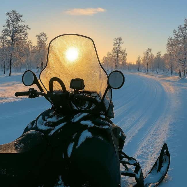 Levi: Twilight Snowmobile Safari & Stargazing Experience - From Levi hotels to the Rautusjarvi forest