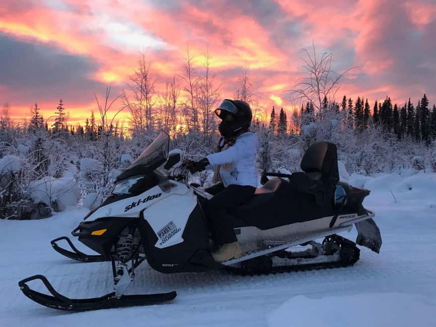 Levi: Twilight Snowmobile Safari & Stargazing Experience - Guides who shape the experience