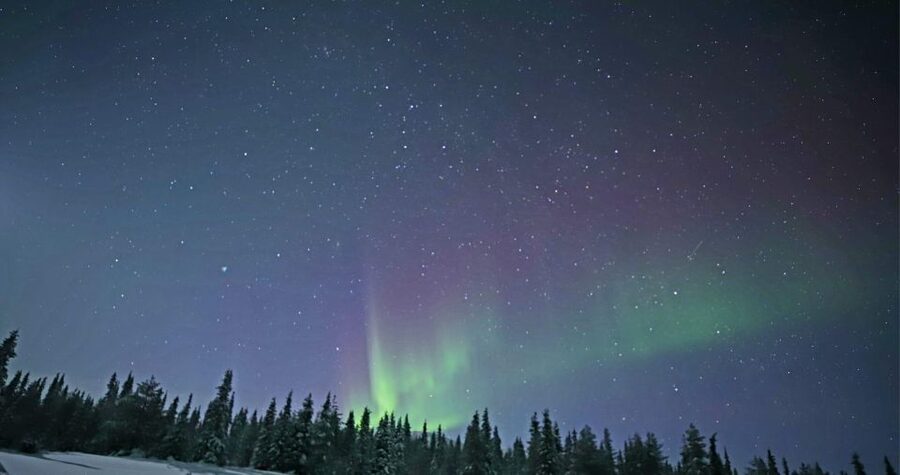 Levi: Twilight Snowmobile Safari & Stargazing Experience - Who will enjoy this most?