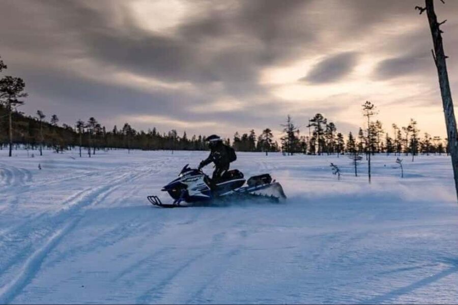 Levi: Twilight Snowmobile Safari & Stargazing Experience - One hour through twilight forests