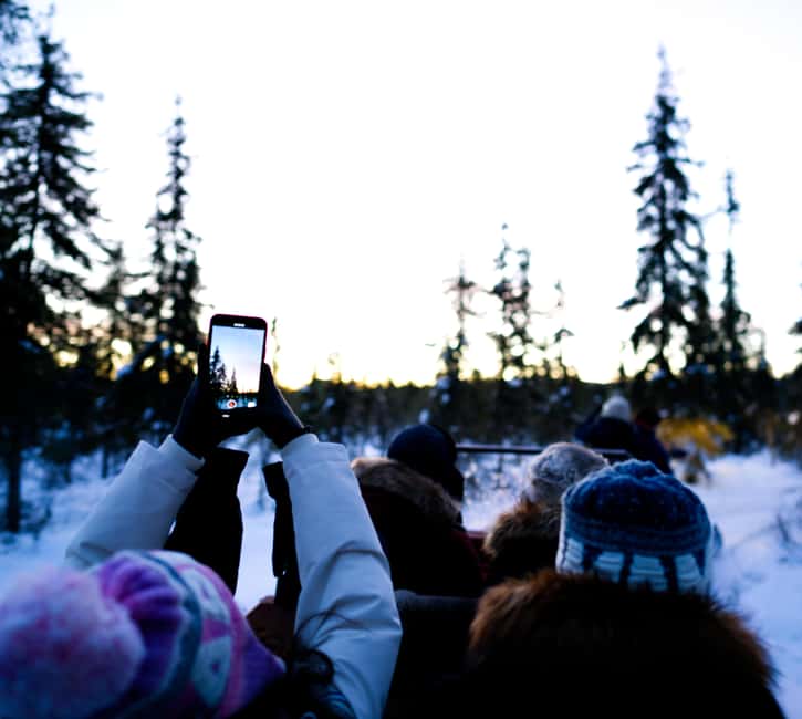 Levi: Winter Wilderness Husky & Reindeer Safari Combo Tour - Stories, blankets, and a warm kota