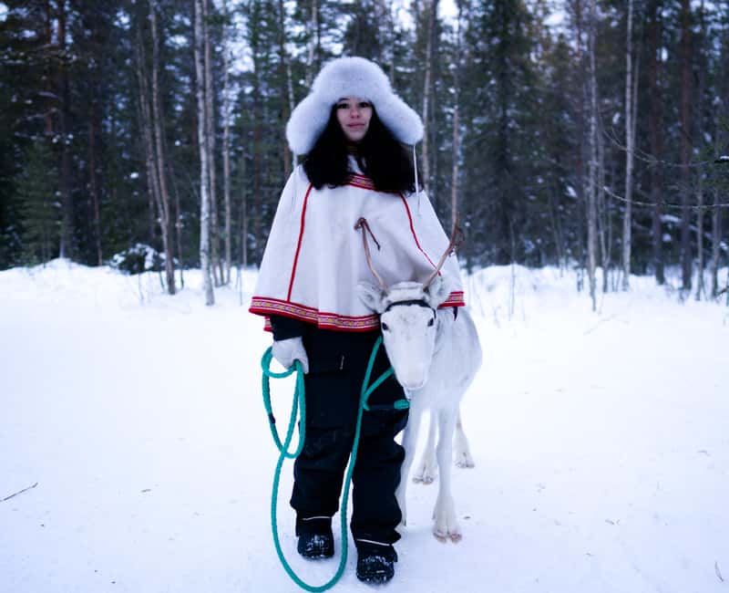 Levi: Winter Wilderness Husky & Reindeer Safari Combo Tour - The 1.5 km husky safari