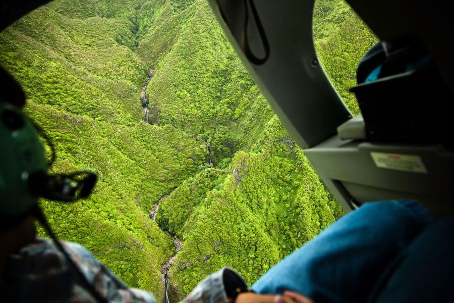 Lihue: Deluxe Waterfall Safari Helicopter Tour - Six seats, weight rules, and the view from inside