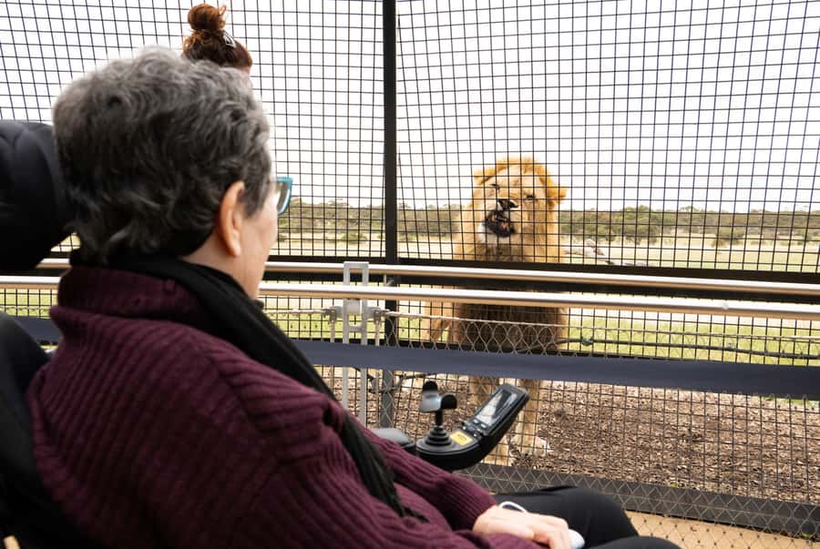 Lions 360 Experience and a Day at Monarto Safari Park - Monarto’s open plains after the lions