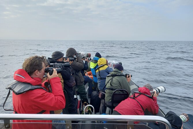 Lisbon: Dolphin Watching with a Marine Biologist - Ocean Safari - The RIB ride: exciting, cold, and exposed