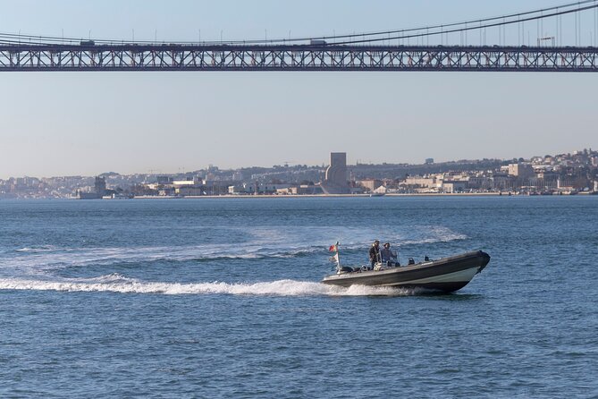 Lisbon: Dolphin Watching with a Marine Biologist - Ocean Safari - Should you book the SeaEO dolphin tour?
