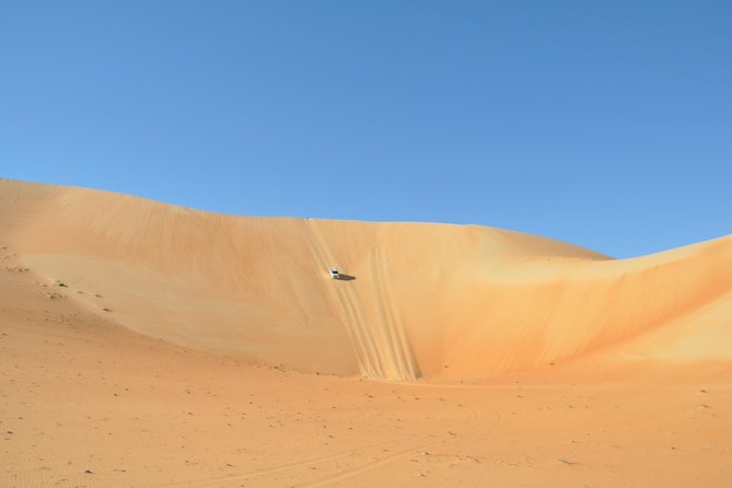 Liwa Full Day Desert Safari (exploring) - The fort brings Emirati history into the day
