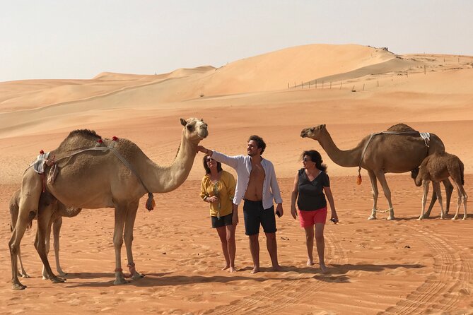 Liwa Full Day Desert Safari (exploring) - Starting at 9:00 am with a 4x4 pickup
