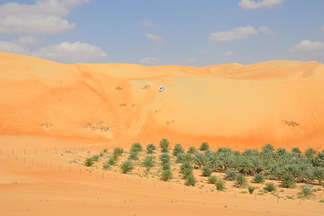 Liwa Full Day Desert Safari from Abu Dhabi - Reaching Liwa from Abu Dhabi