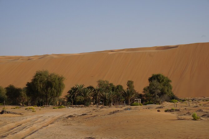 Liwa Full Day Desert Safari from Abu Dhabi - Arabic lunch at Liwa Oasis