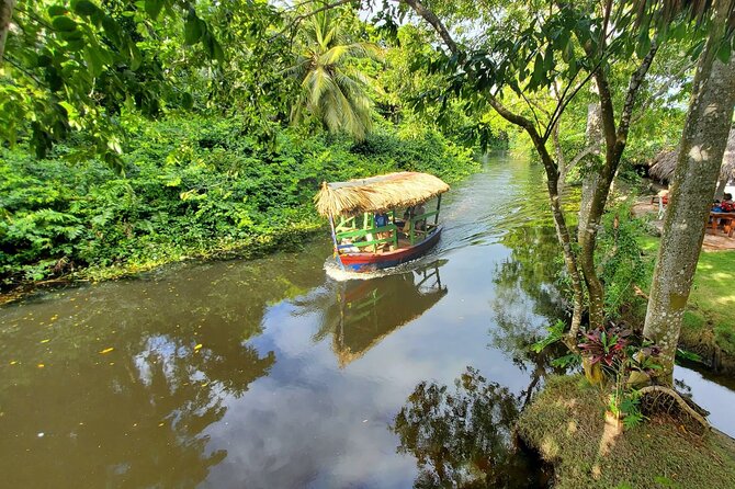 Local Excursion || Jungle Safari Excursion - Key points to know before booking