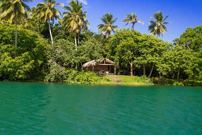 Local Excursion || Jungle Safari Excursion - The ecological park, local fruit, and small zoo