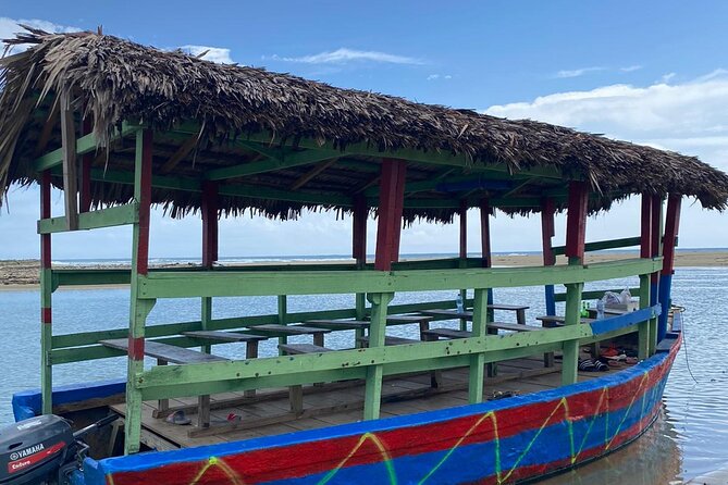 Local Excursion || Jungle Safari Excursion - Lunch in a restaurant built around trees