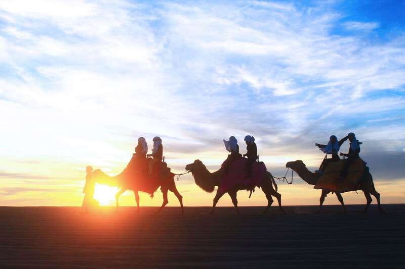 Los Cabos: Camel Ride Safari with Lunch and Tequila Tasting - A short walk through an ecological reserve