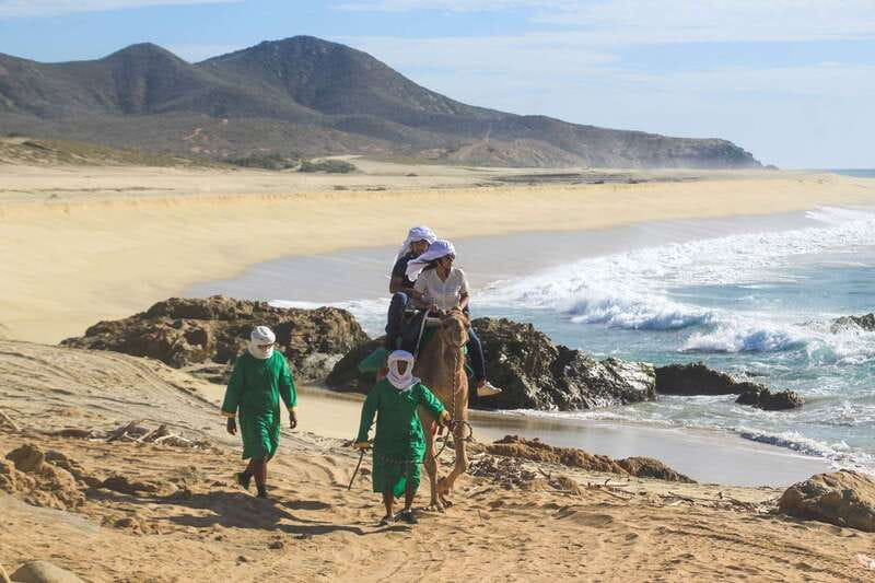Los Cabos: Camel Ride Safari with Lunch and Tequila Tasting - A Mexican lunch that keeps the tour practical