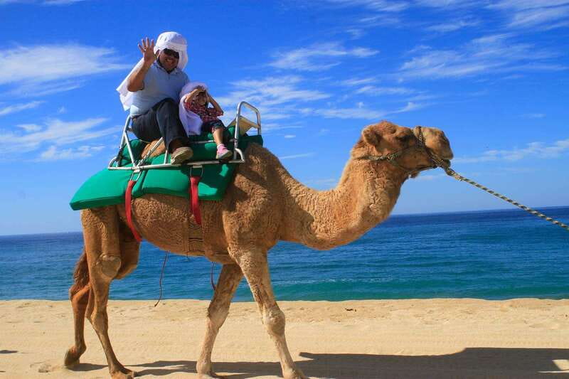 Los Cabos: Camel Ride Safari with Lunch and Tequila Tasting - Transport, timing, and the extra cost