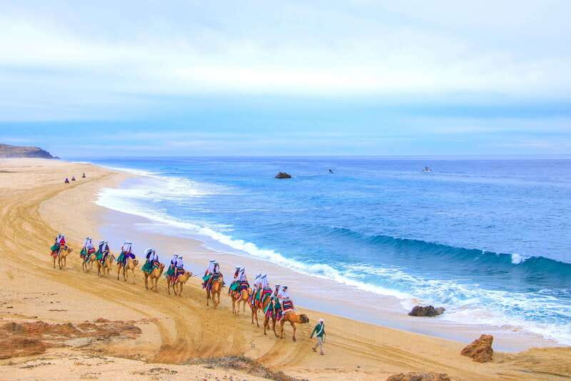 Los Cabos: Camel Ride Safari with Lunch and Tequila Tasting - Who will enjoy this Cabo camel safari
