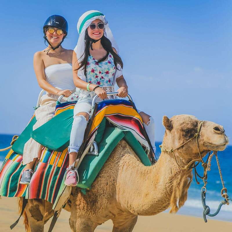 Los Cabos: Camel Ride Safari with Lunch and Tequila Tasting - Should you book the $140 experience?