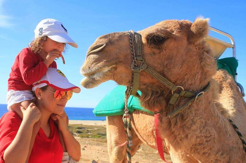 Los Cabos: Camel Ride Safari with Lunch and Tequila Tasting - Riding beside the Pacific near Cabo San Lucas