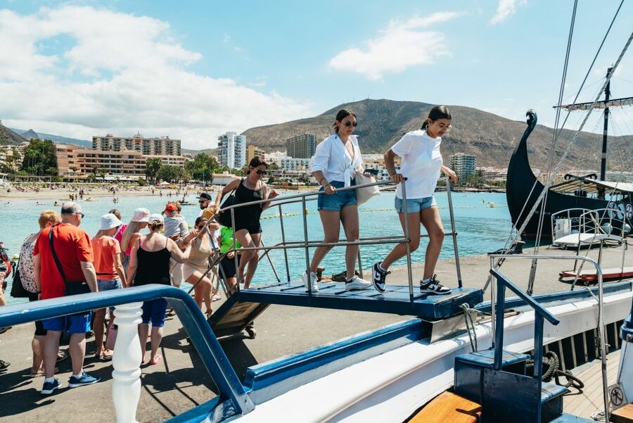 Los Cristianos Respectful No-Chase Whale and Dolphin Safari - A no-chase policy you can actually watch in practice