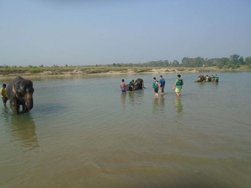 Luxury Chitwan Jungle Safari Package (2Nights/3Days) Resort - The road from Kathmandu or Pokhara