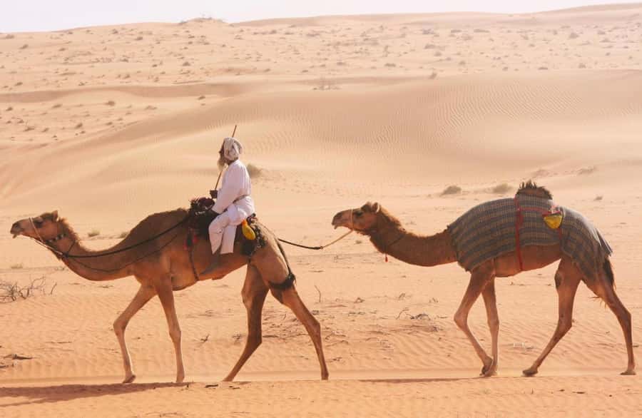 Luxury Overnight Desert Safari in Salalah - Dune bashing before the sunset
