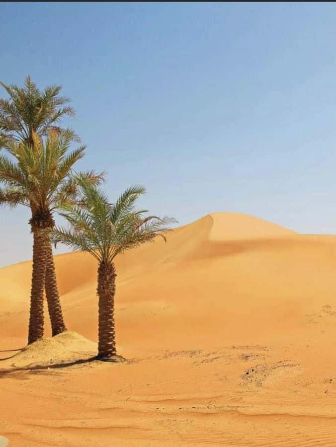 Luxury Overnight Desert Safari in Salalah - Arabic coffee, dates, and the desert sunset