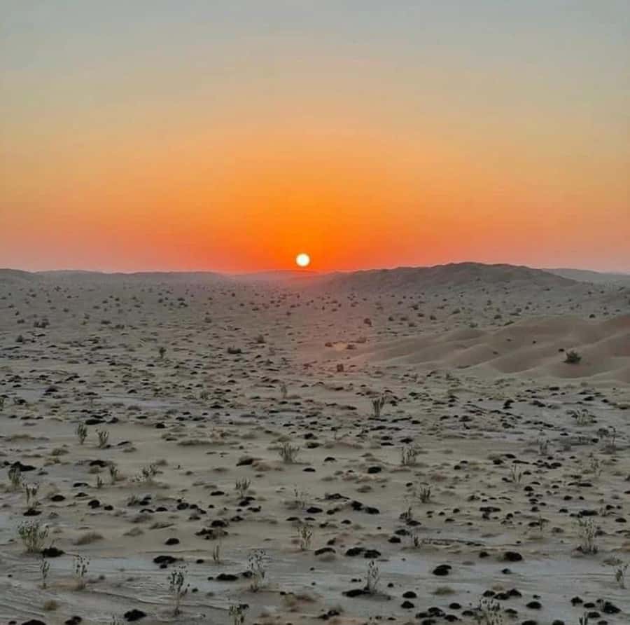 Luxury Overnight Desert Safari in Salalah - What luxury means at this camp