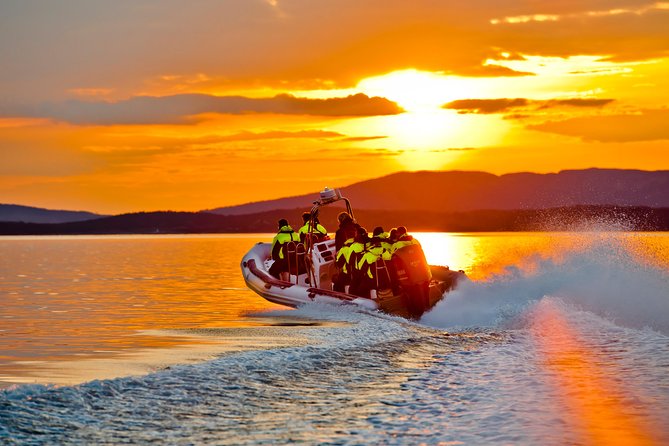 Lysefjord RIB Safari from Stavanger - What the dry suit really means