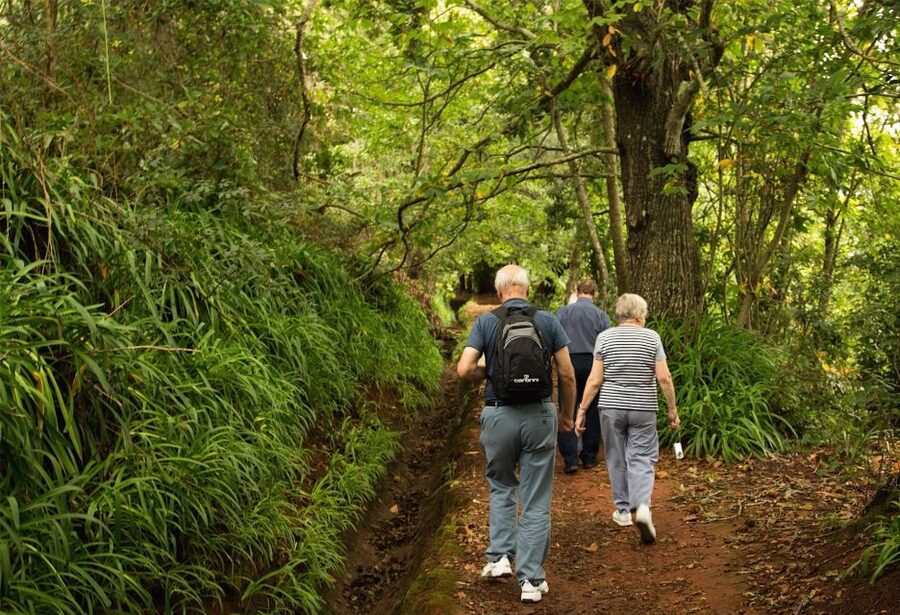 Madeira: Mini-Combo East Challenge: Jeep Safari + Levada - Who should book this experience?
