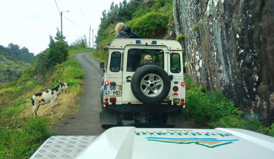 Madeira: Mini-Combo East Challenge: Jeep Safari + Levada - What this four-hour Madeira outing is really designed to do