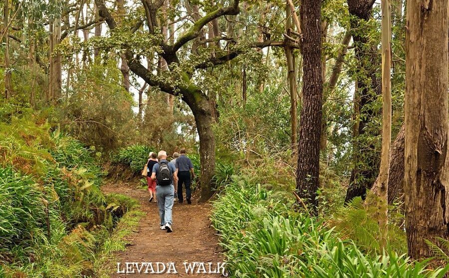 Madeira: Mini-Combo East Challenge: Jeep Safari + Levada - The easy Levada walk, about 30 minutes