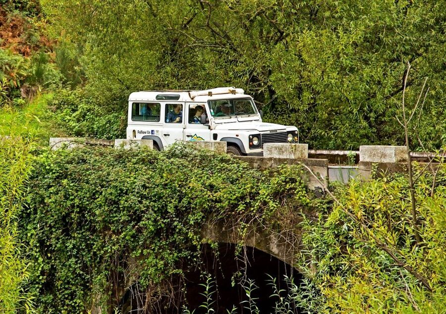 Madeira: Mini-Combo East Challenge: Jeep Safari + Levada - Santo da Serra adds a change of pace