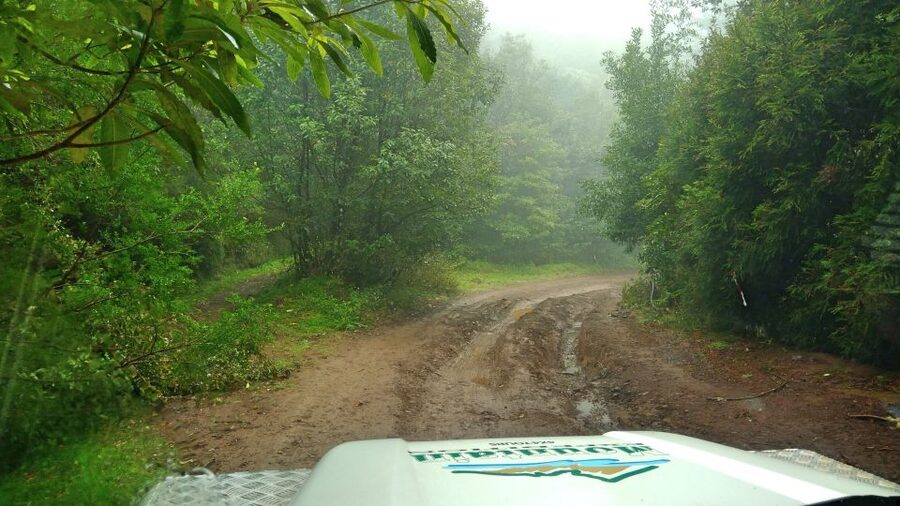 Madeira: Mini-Combo East Challenge: Jeep Safari + Levada - Starting in Funchal and heading toward Camacha