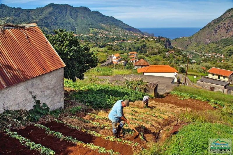 Madeira: Santana Jeep Safari and Referta Levada Walk - What to bring and what to expect