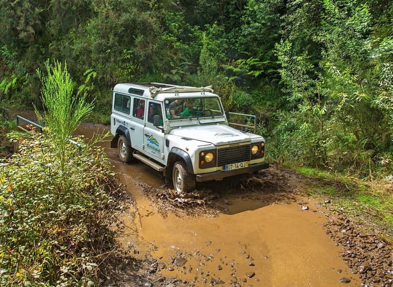 Madeira: Santana Jeep Safari and Referta Levada Walk - The Referta Levada and Madeira’s working countryside