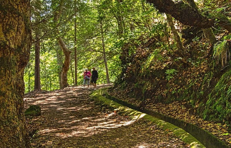 Madeira: Santana Jeep Safari and Referta Levada Walk - Guides, vehicles and the feel of the day