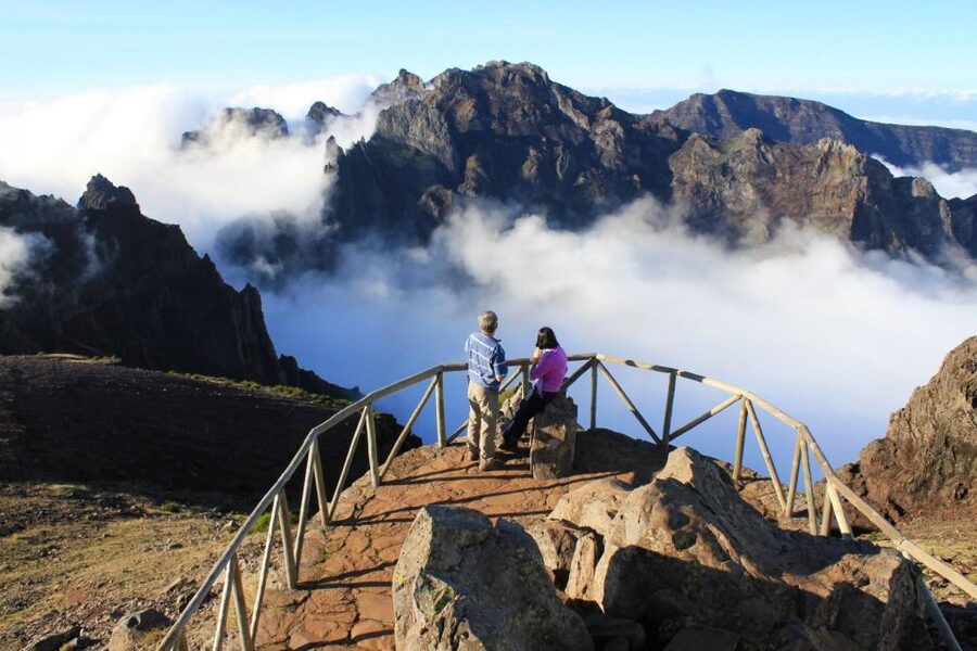 Madeira Wild West 4X4 Tour Safari - Fanal Forest and its old trees