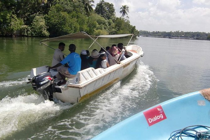 Madu River Boat Safari Balapitiya - Key points at a glance