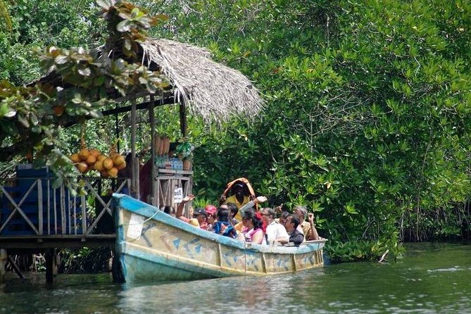 Madu River Boat Safari Balapitiya - Why the Madu River makes a good short outing